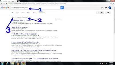 Google Search Me Website Ke Kitne URL Index Hai kase pata kare